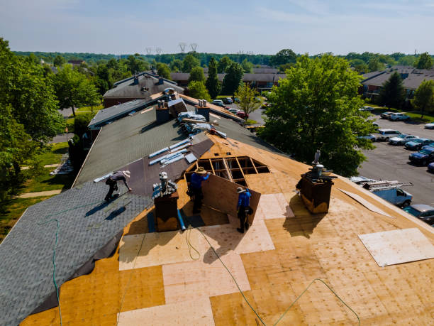 Roof Gutter Cleaning in Heflin, AL