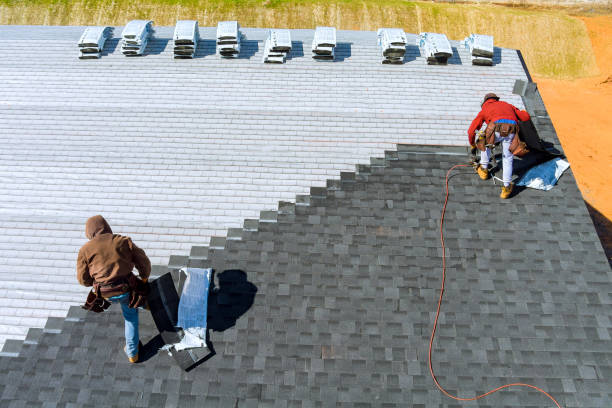 Best Storm Damage Roof Repair  in Heflin, AL