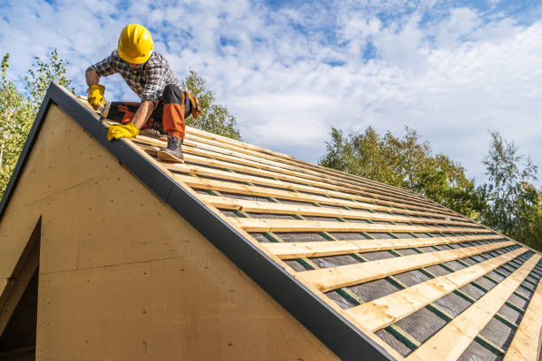 Roof Gutter Cleaning in Heflin, AL